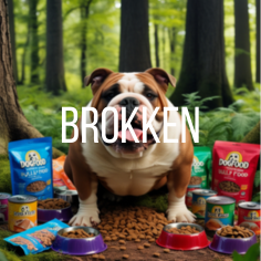 Brokken