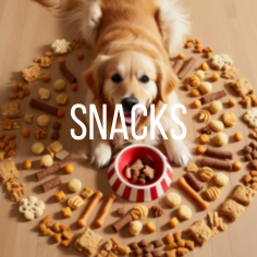 Snacks