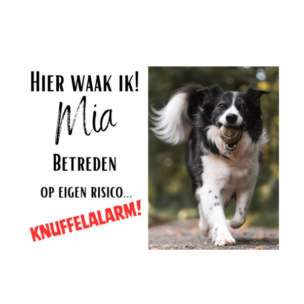 Mia 20x15cm