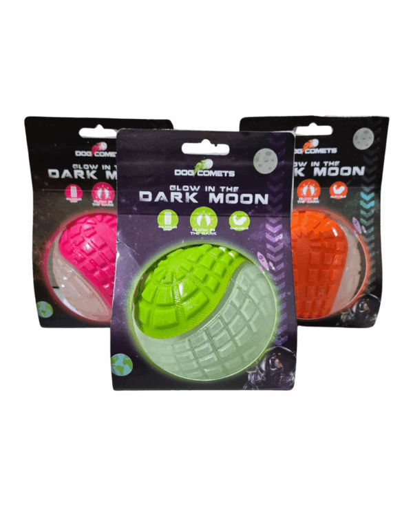 Dog Comets Glow In The Dark Moon  L
