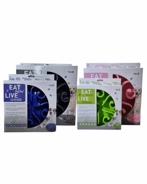 Eat Slow Live Longer